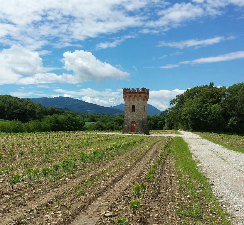 Agriturismo Casteldardo Pensjonat Trichiana Zewnętrze zdjęcie