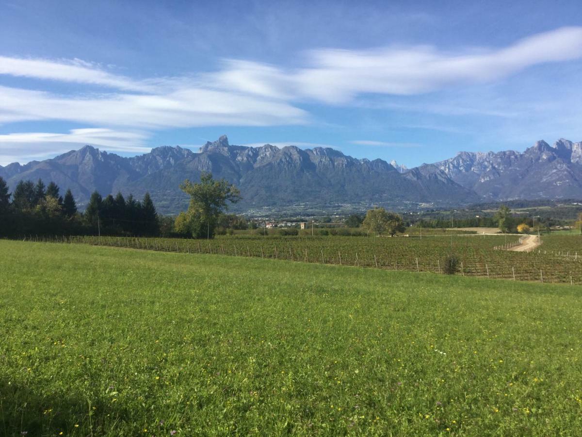 Agriturismo Casteldardo Pensjonat Trichiana Zewnętrze zdjęcie
