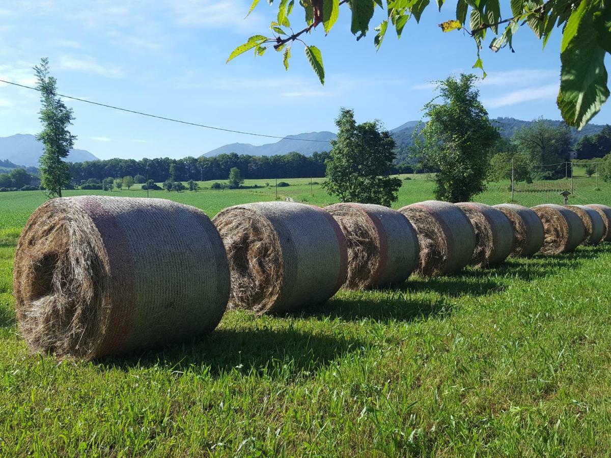 Agriturismo Casteldardo Pensjonat Trichiana Zewnętrze zdjęcie